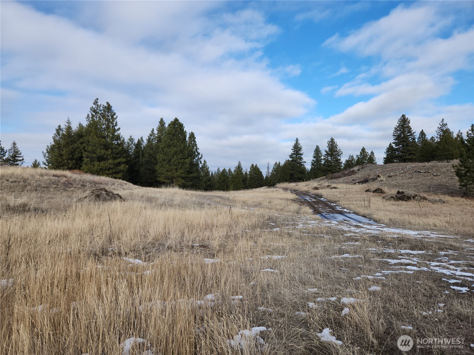 10 Mountain View Road Republic, WA 99166 - Photo 12 of 18