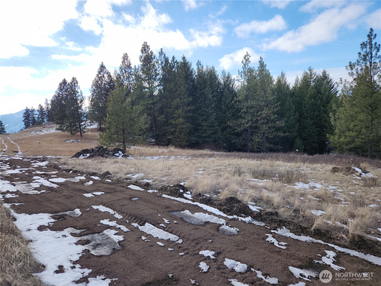 10 Mountain View Road Republic, WA 99166 - Photo 14 of 18