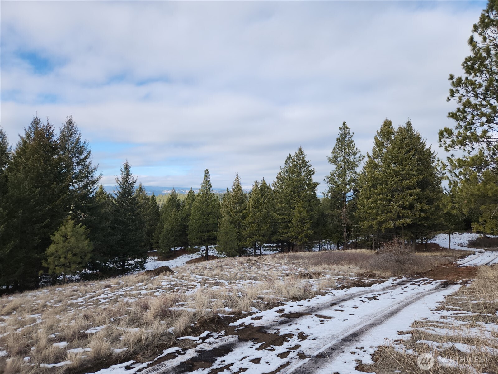 10 Mountain View Road Republic, WA 99166 - Photo 16 of 18