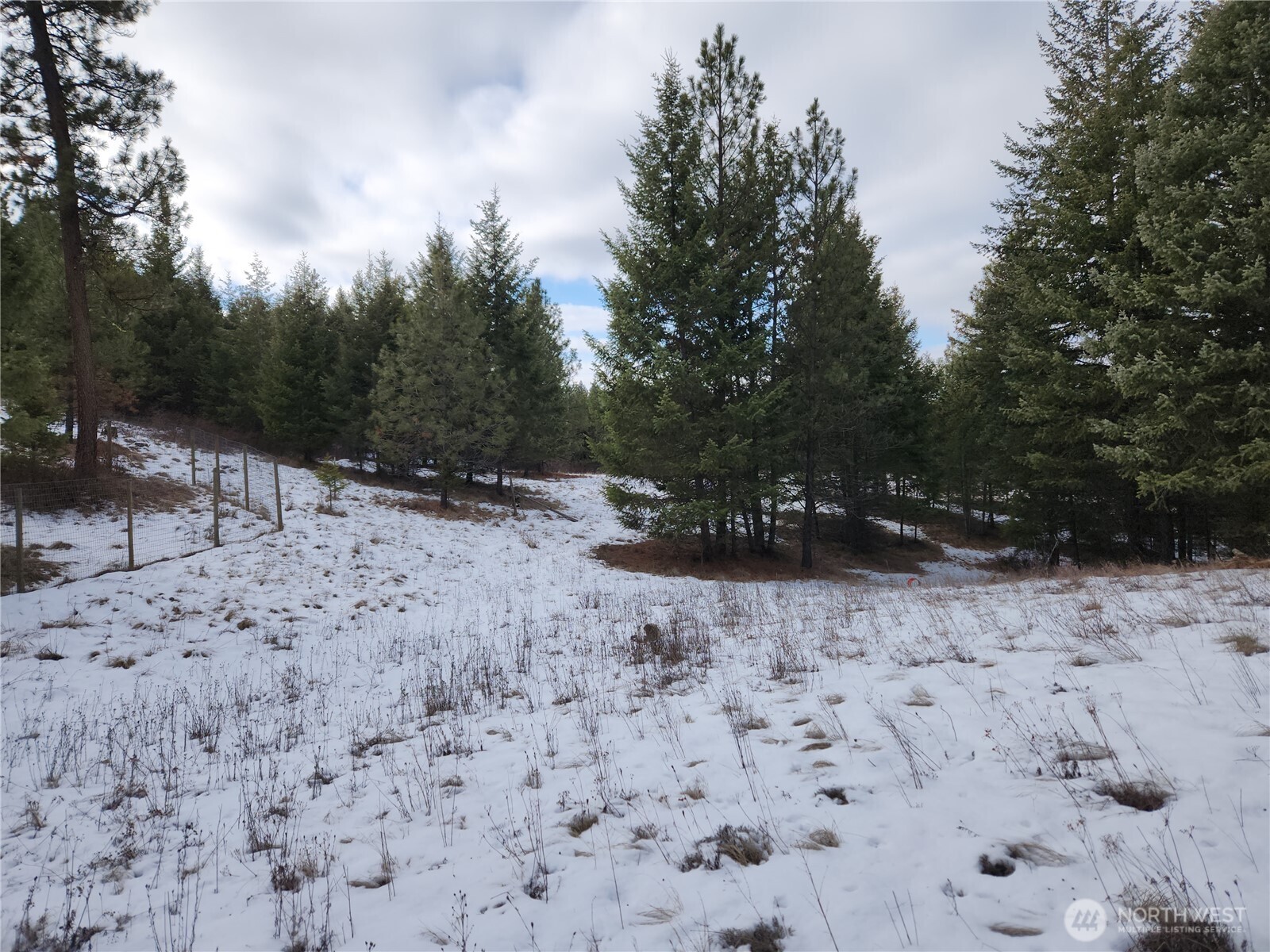 10 Mountain View Road Republic, WA 99166 - Photo 17 of 18