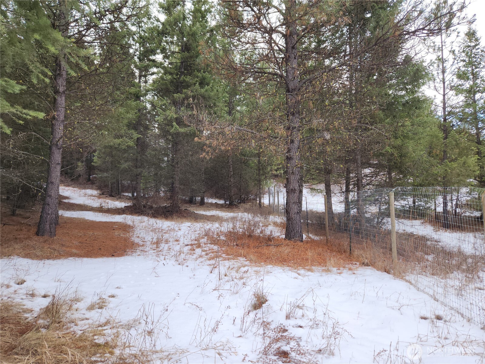 10 Mountain View Road Republic, WA 99166 - Photo 18 of 18