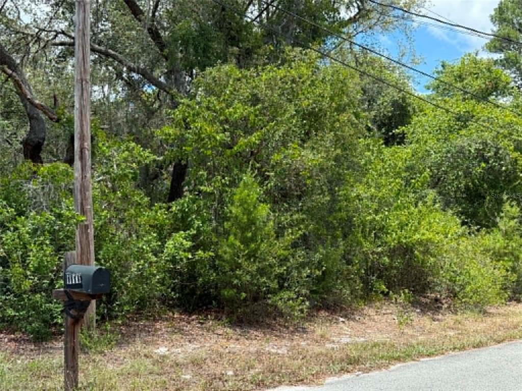10051 Waddell Street New Port Richey, FL 34654 - Photo 3 of 8