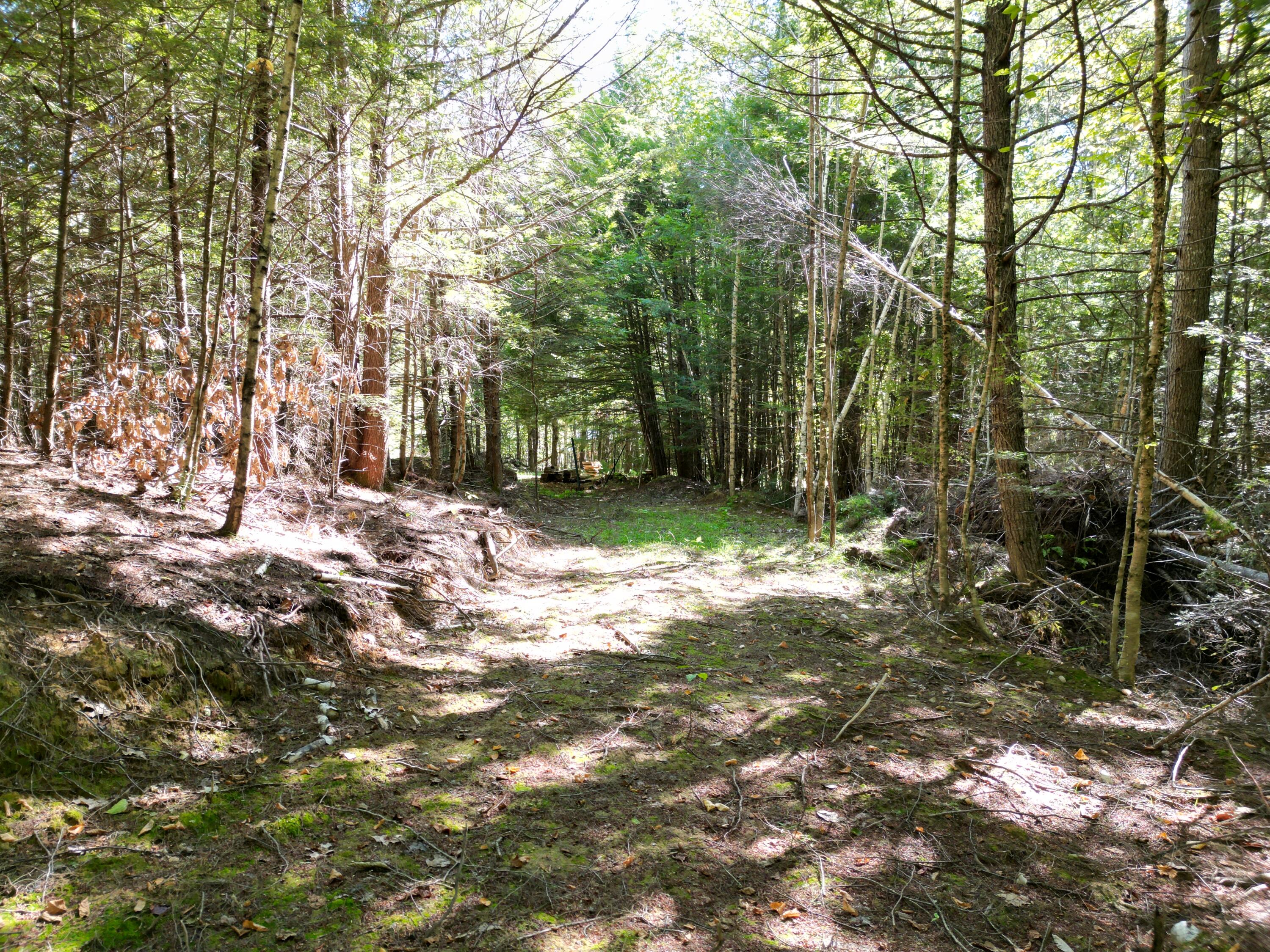 27-29 Loop Road Chester, ME 04457 - Photo 43 of 46 DJI_0027