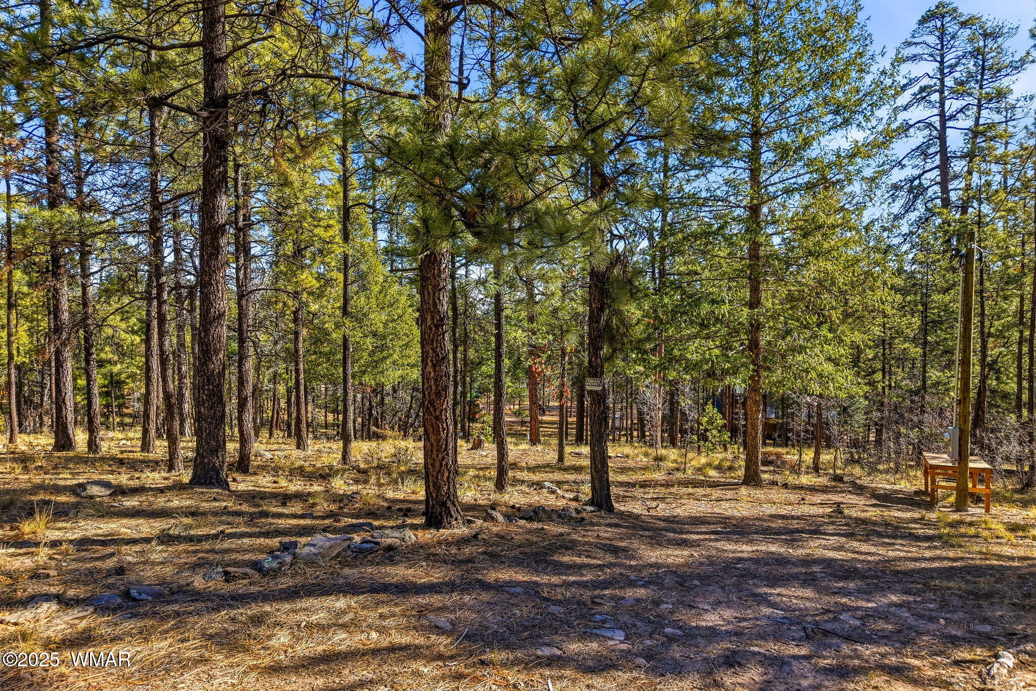 20 Co Road Alpine, AZ 85920 - Photo 1 of 15 a view of park