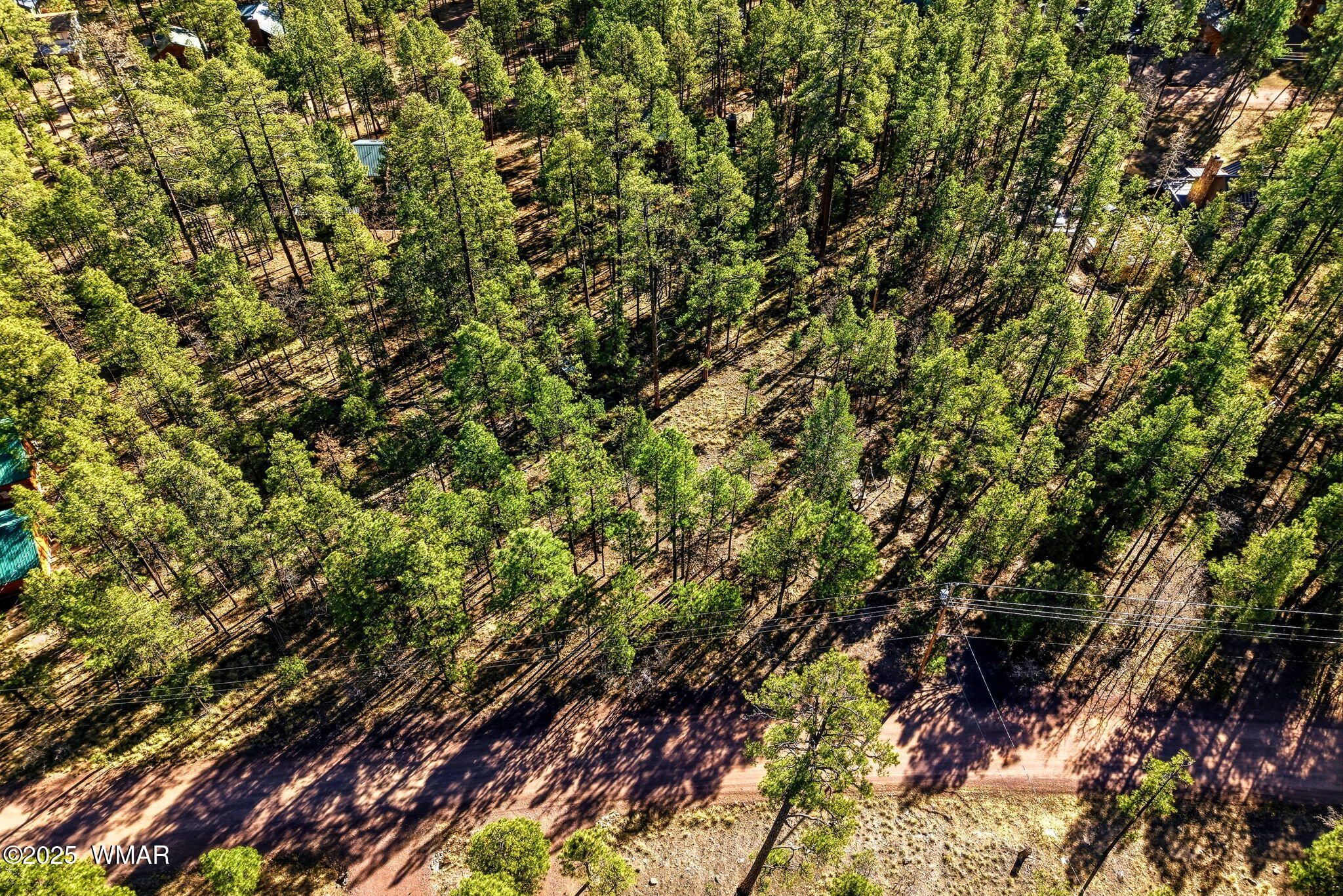 20 Co Road Alpine, AZ 85920 - Photo 11 of 15 a view of a tree