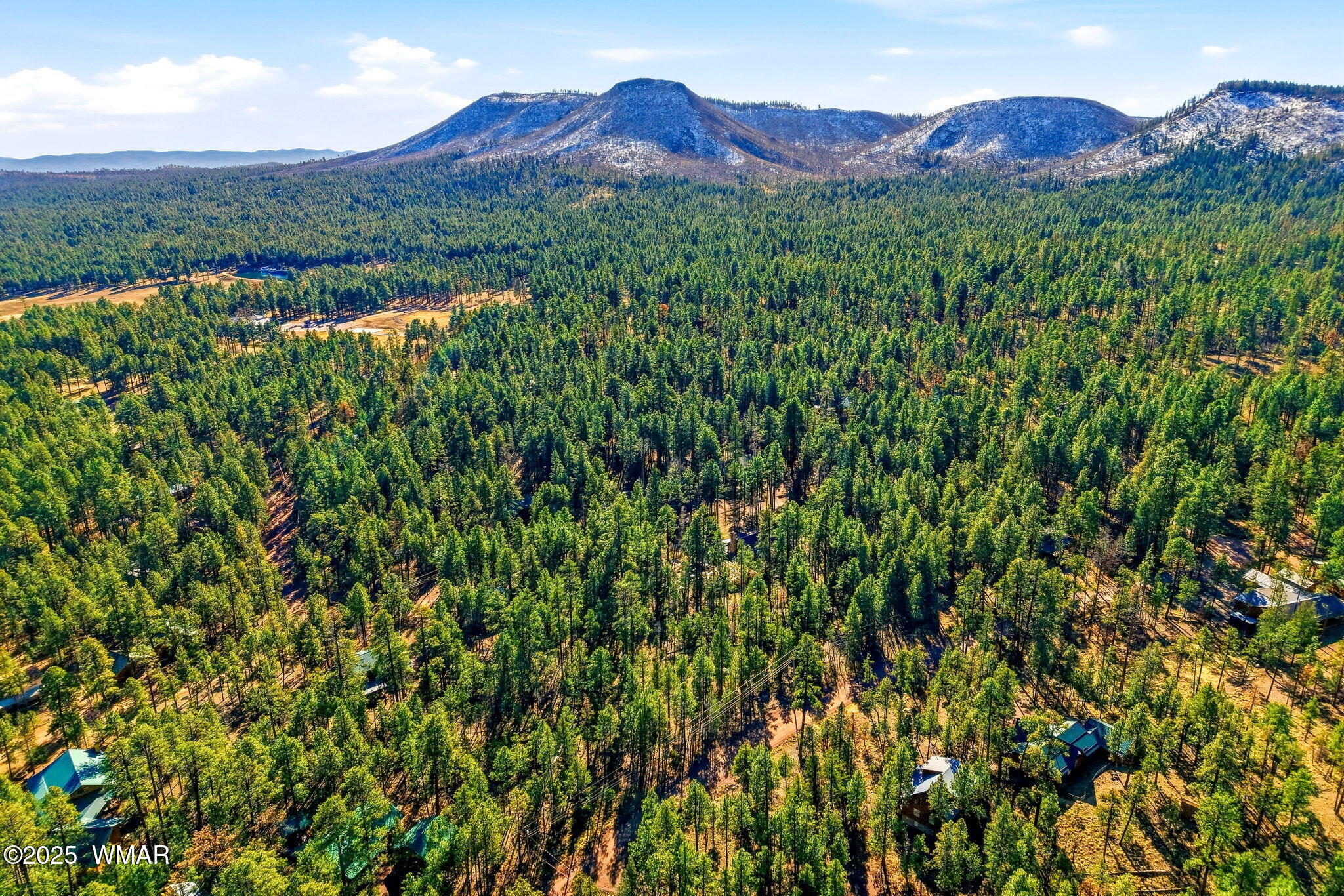 20 Co Road Alpine, AZ 85920 - Photo 5 of 15 a view of a lush green forest with a mountain in the background