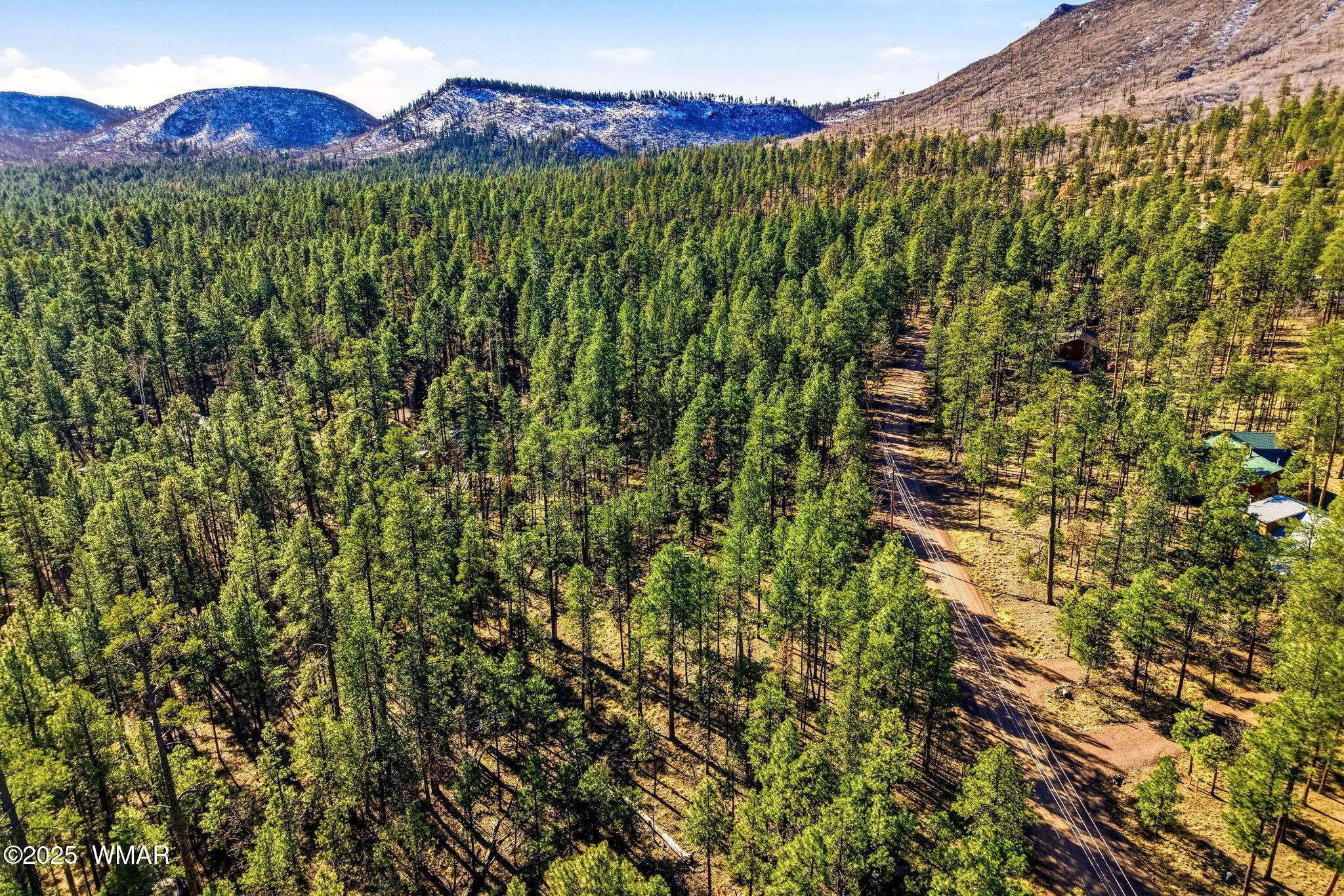 20 Co Road Alpine, AZ 85920 - Photo 8 of 15 a view of a lush green forest with a mountain