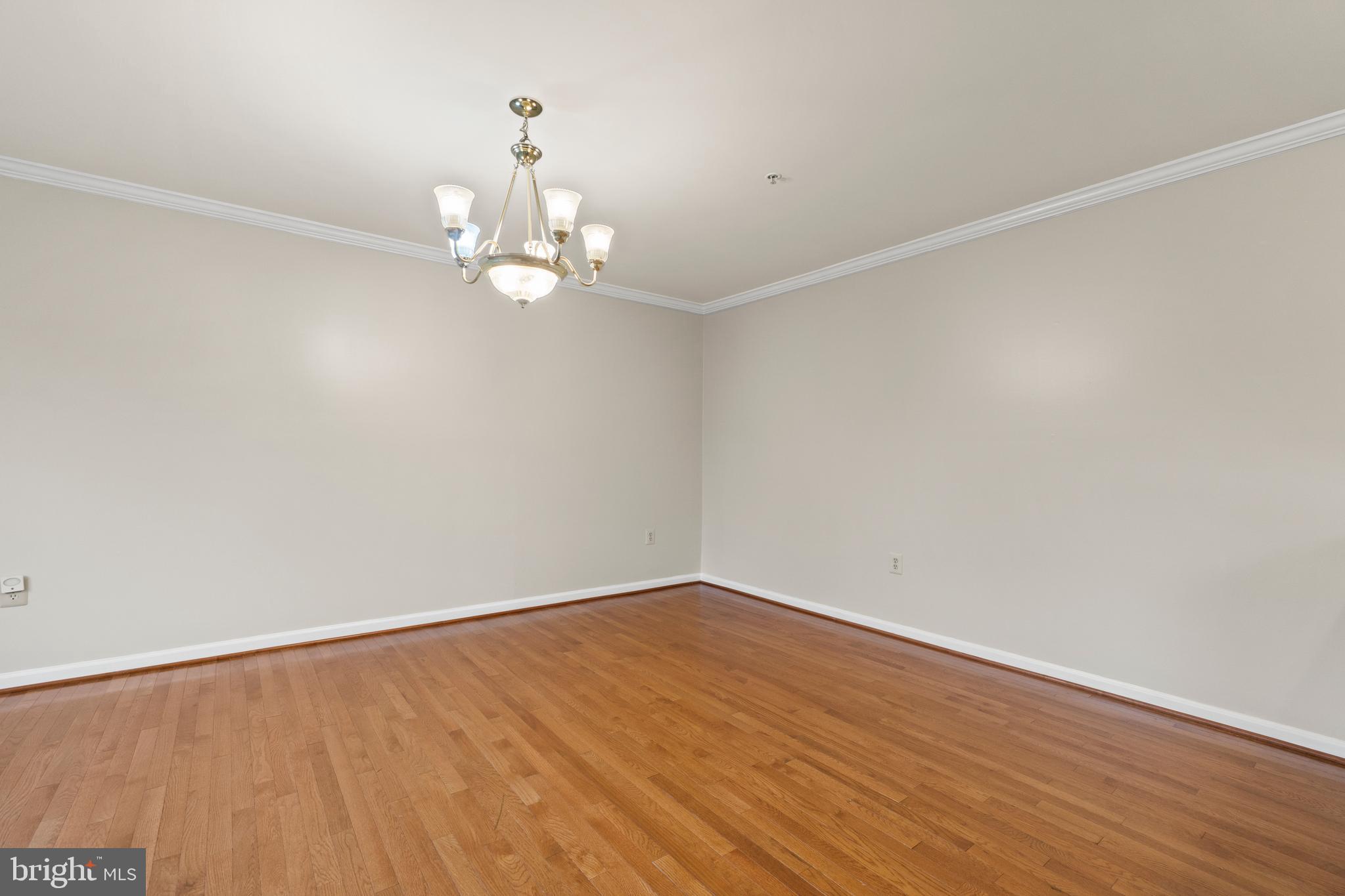 16397 Livingston Road Accokeek, MD 20607 - Photo 8 of 47 Gallery Image 8