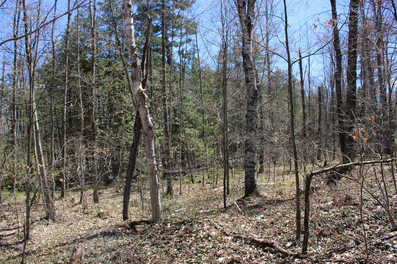 11401 Little George Lake Road Gladwin, MI 48624 - Photo 40 of 72