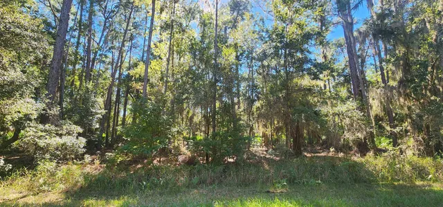 a view of yard from a lake