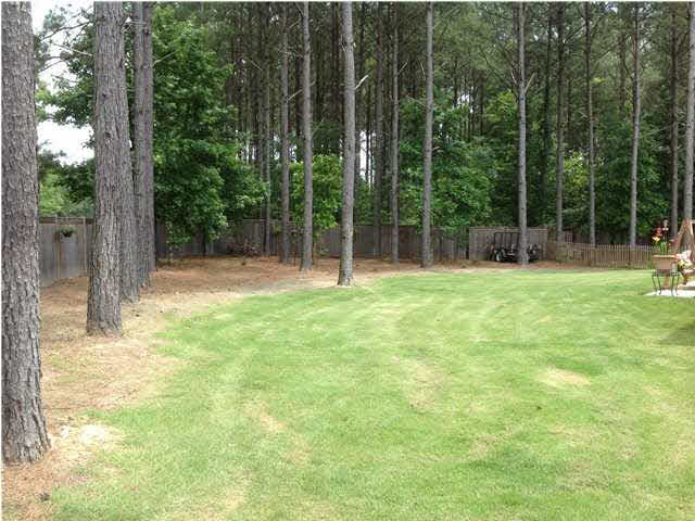 117 Talons Point Madison, MS 39110 - Photo 23 of 25 This back yard is huge