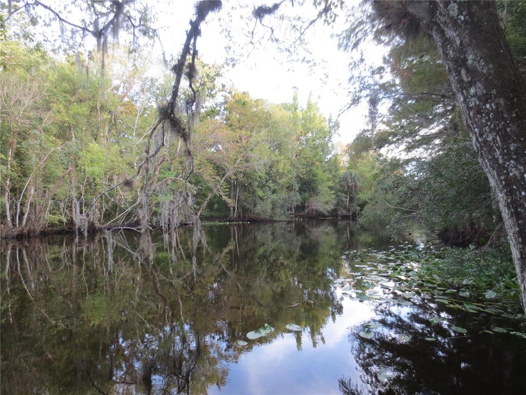 1742 Southeast 169th Terrace Road Silver Springs, FL 34488 - Photo 84 of 91 Gallery Image 84