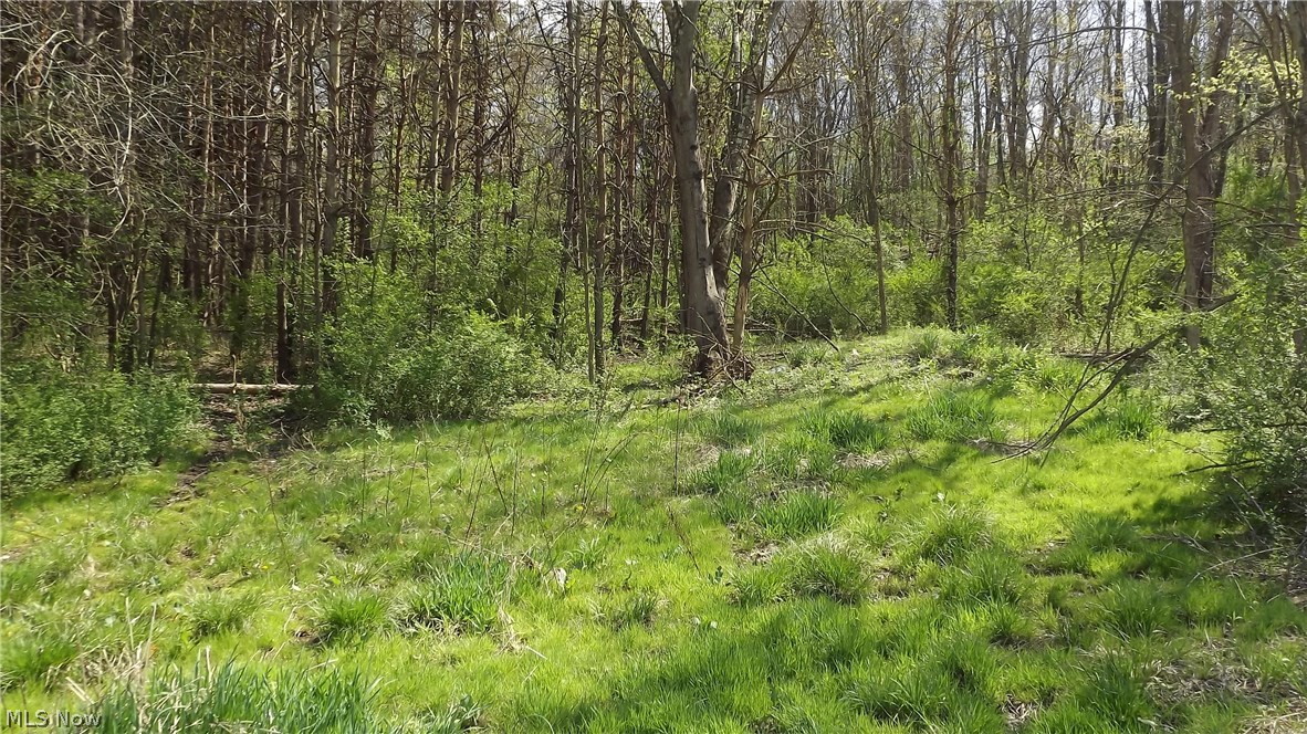 2980 Licking Road Zanesville, OH 43701 - Photo 16 of 20