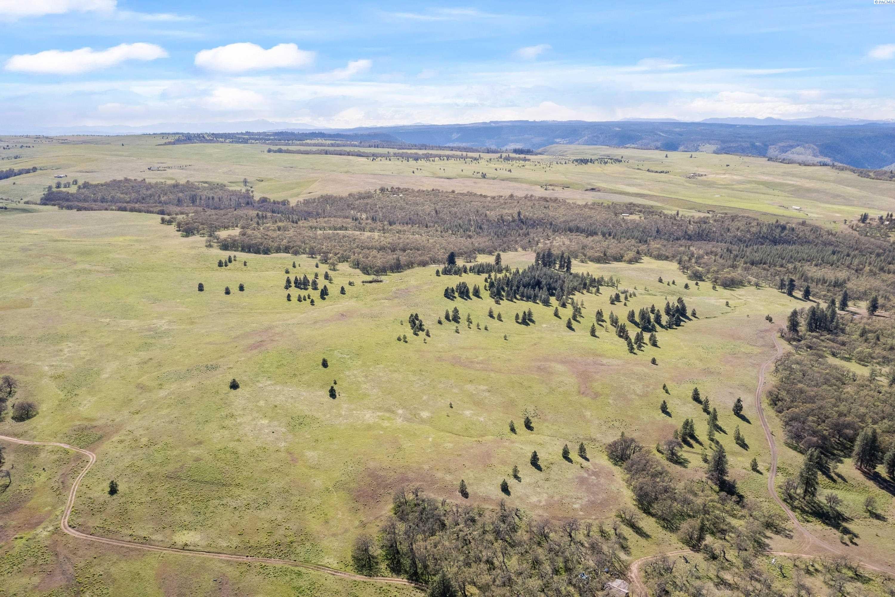 Lot 19 Schilling Road Lyle, WA 98635 - Photo 26 of 39 Gallery Image 26