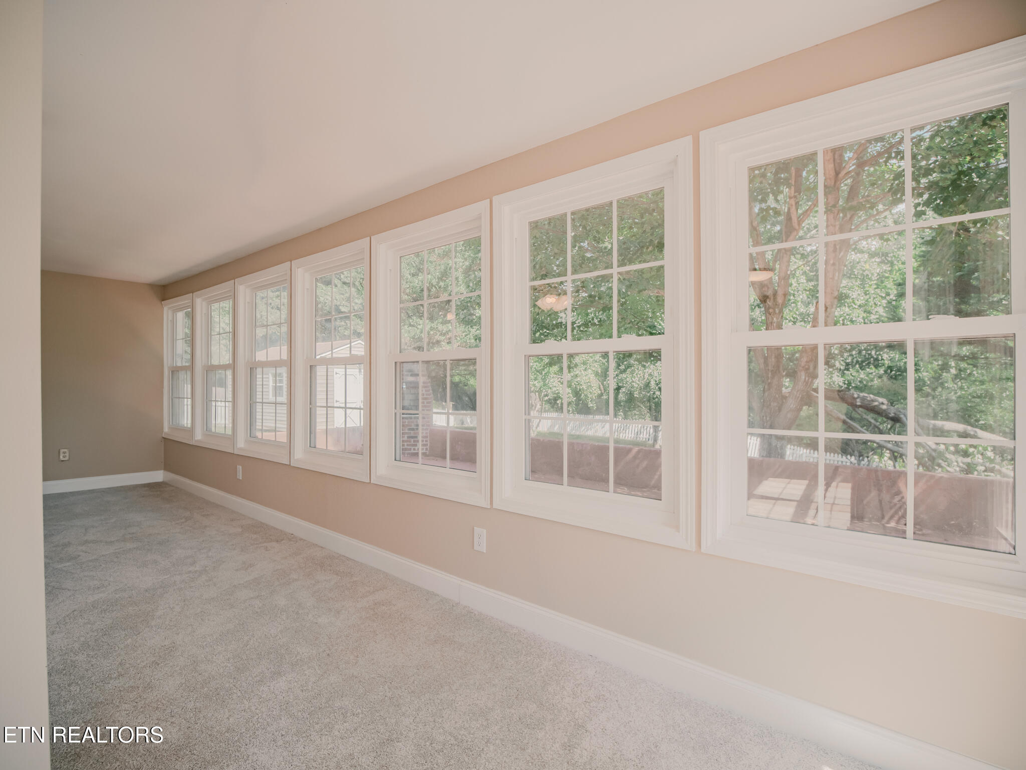 116 Deer Path Trail Vonore, TN 37885 - Photo 46 of 60 Basement Sunroom
