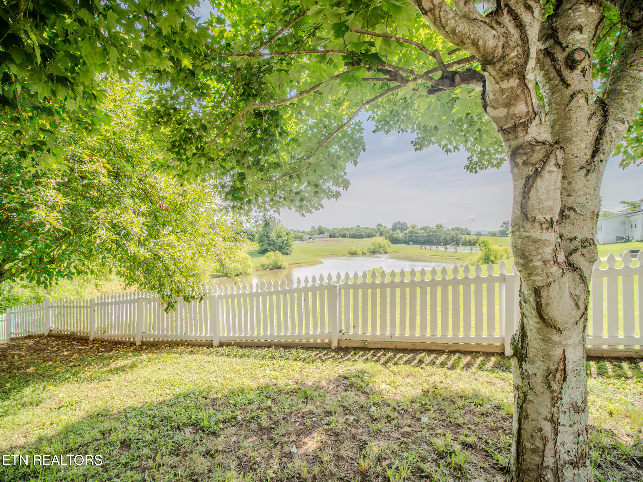 116 Deer Path Trail Vonore, TN 37885 - Photo 52 of 60 Backyard