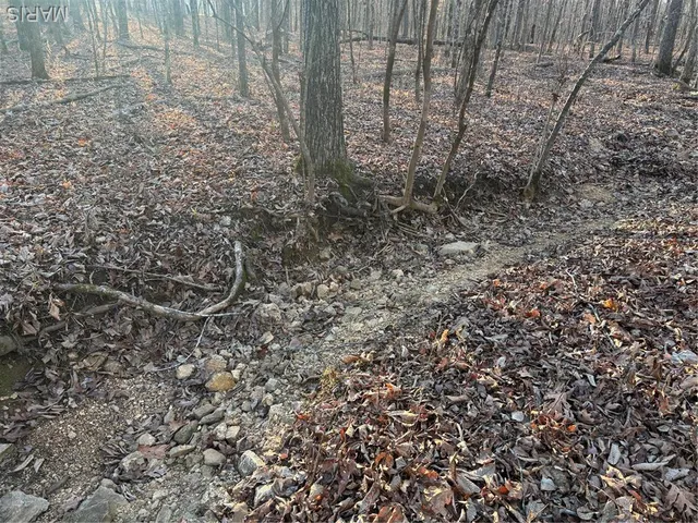 $74,300 | 1 State Hwy D, Wappapello, MO 63966