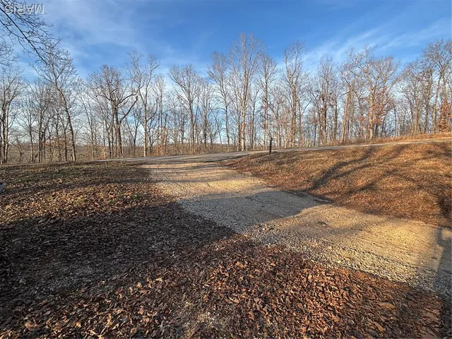 $74,300 | 1 State Hwy D, Wappapello, MO 63966