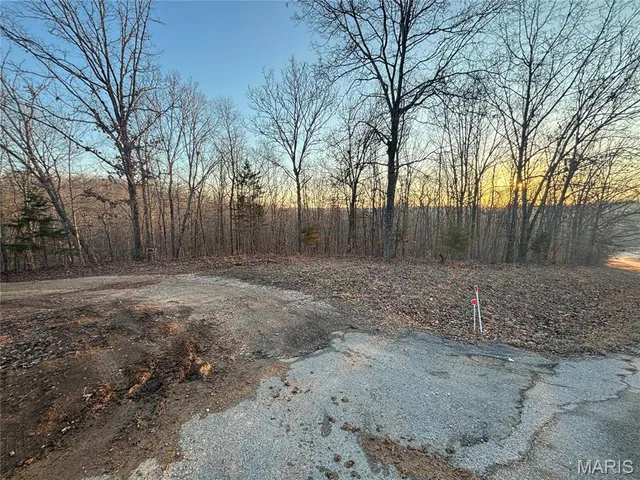 $74,300 | 1 State Hwy D, Wappapello, MO 63966