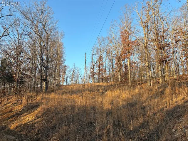 $74,300 | 1 State Hwy D, Wappapello, MO 63966