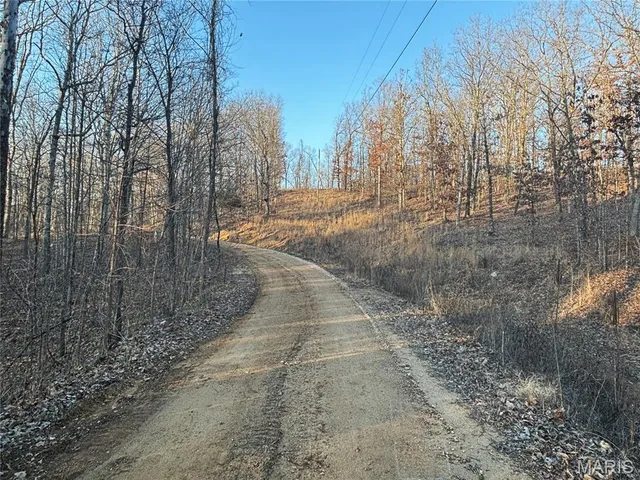 $74,300 | 1 State Hwy D, Wappapello, MO 63966