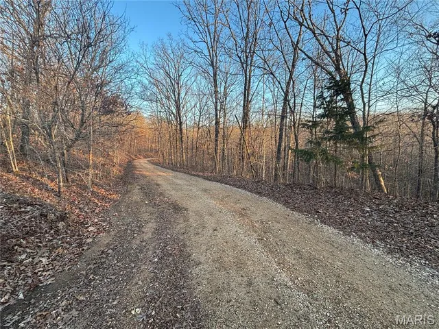 $74,300 | 1 State Hwy D, Wappapello, MO 63966