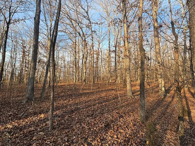 $74,300 | 1 State Hwy D, Wappapello, MO 63966