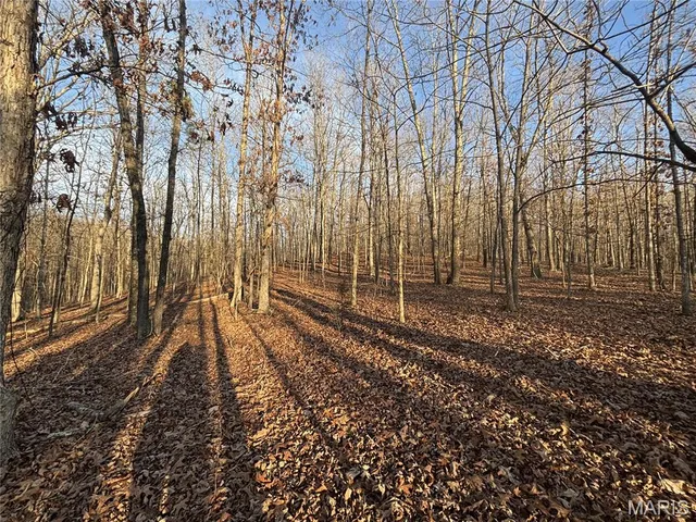 $74,300 | 1 State Hwy D, Wappapello, MO 63966