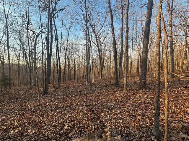 $74,300 | 1 State Hwy D, Wappapello, MO 63966