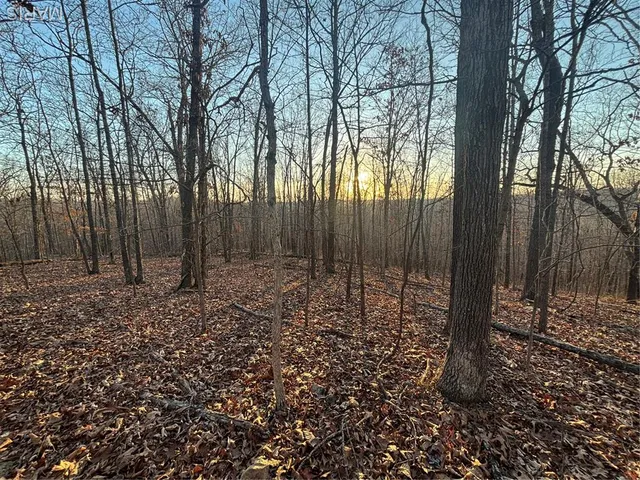 $74,300 | 1 State Hwy D, Wappapello, MO 63966