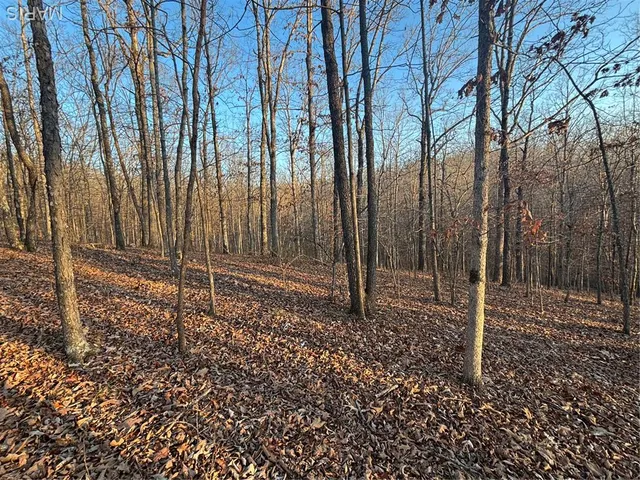 $74,300 | 1 State Hwy D, Wappapello, MO 63966