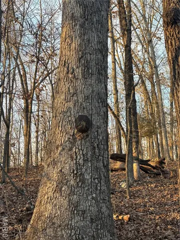 $74,300 | 1 State Hwy D, Wappapello, MO 63966