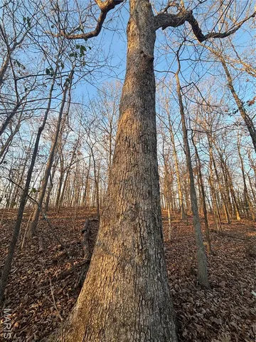 $74,300 | 1 State Hwy D, Wappapello, MO 63966