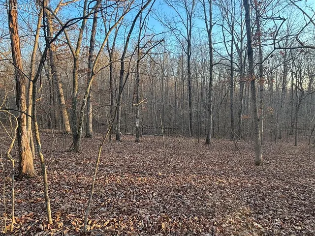 $74,300 | 1 State Hwy D, Wappapello, MO 63966