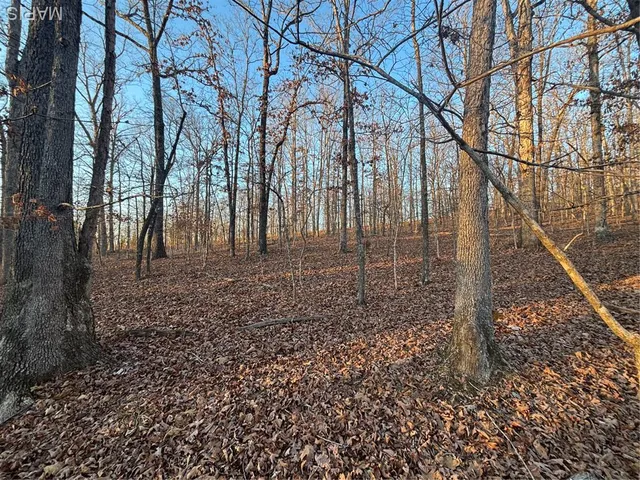 $74,300 | 1 State Hwy D, Wappapello, MO 63966