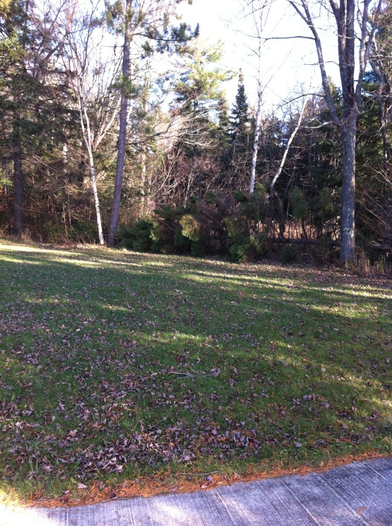 4432 South Bay Mills Point Road Brimley, MI 49715 - Photo 16 of 23 Gallery Image 16