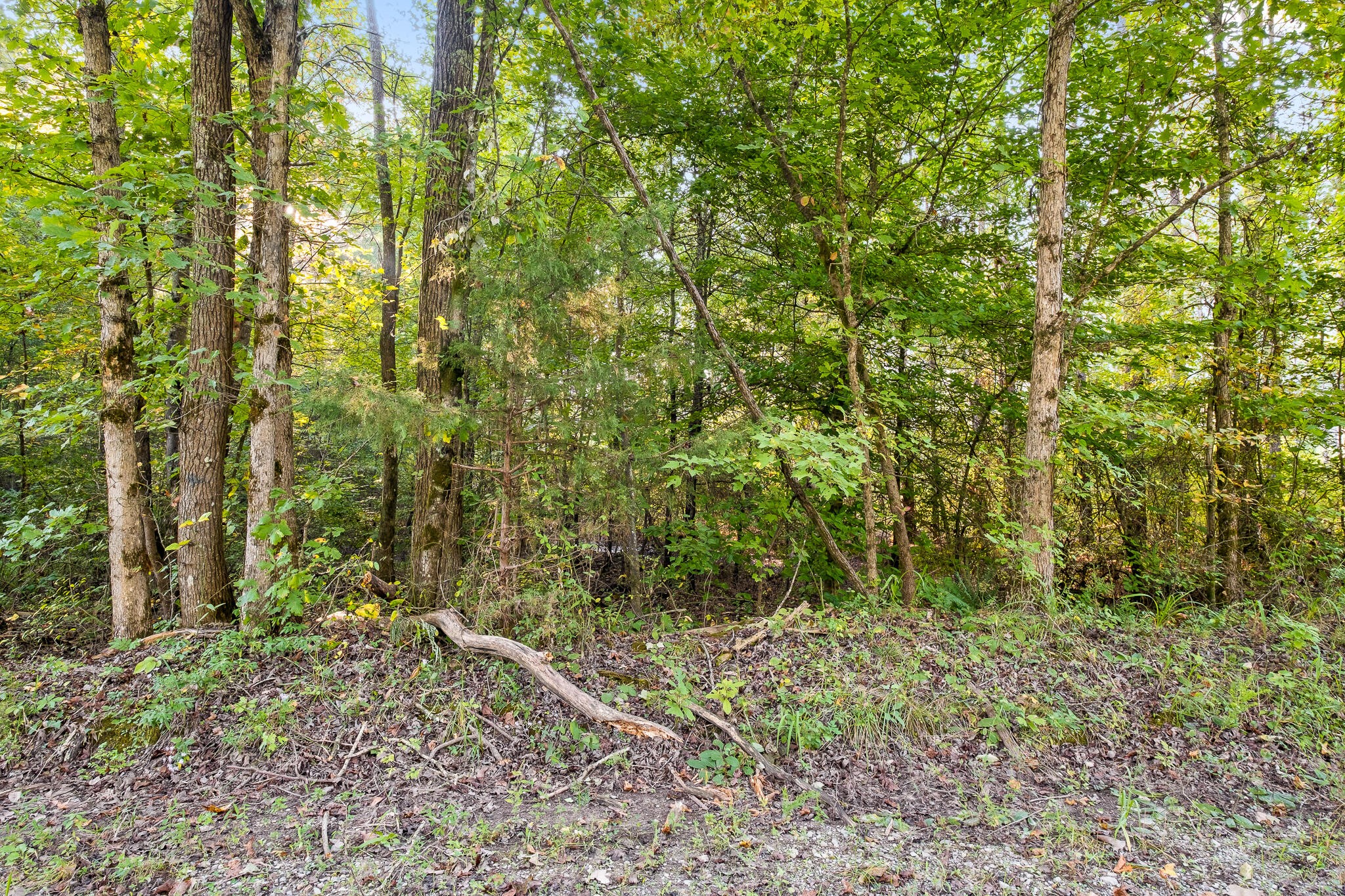 1 Green Pond Road Decatur, TN 37322 - Photo 21 of 26 Gallery Image 21