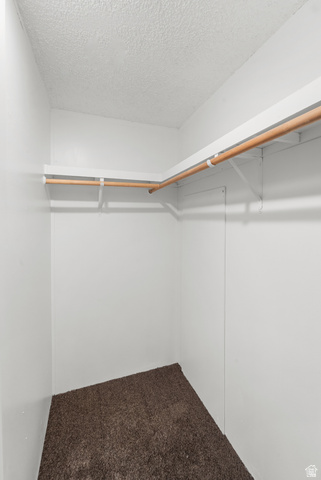 2875 North 400 West, Unit 7 Layton, UT 84041 - Photo 12 of 29 Walk-in closet with white walls, brown carpet, and built-in wood-finish hanging rods