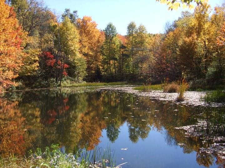 392 Maple Summit Road Mill Run, PA 15464 - Photo 2 of 25 There are four seasons of tranquility awaiting you here!! Seller stocks the pond and is great for swimming. It does NOT freeze solid as the water is always running underneath so please no ice skating! The second pond is smaller.