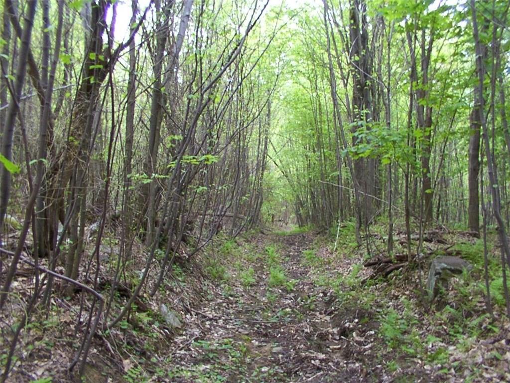 392 Maple Summit Road Mill Run, PA 15464 - Photo 22 of 25 The trail system will take you to the top! And there are options for which way you go. You will find all types of wildlife on this parcel!