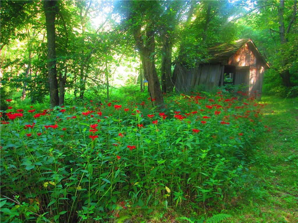 392 Maple Summit Road Mill Run, PA 15464 - Photo 25 of 25 Thought you might like to see a summer picture of bee balm in bloom!!