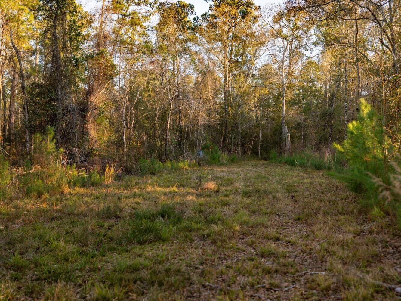 0 Kennedy Road Bon Secour, AL 36511 - Photo 20 of 25