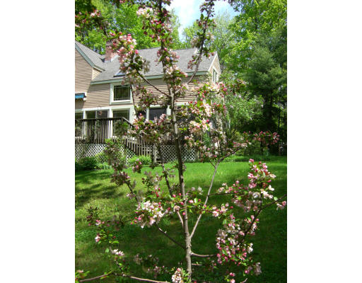 522 Flat Hills Road Amherst, MA 01002 - Photo 3 of 3