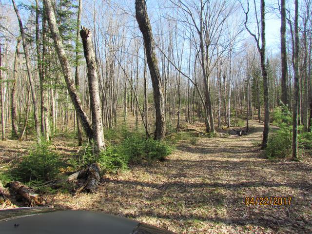 On Church Road Conover, WI 54519 - Photo 2 of 12 Gallery Image 2