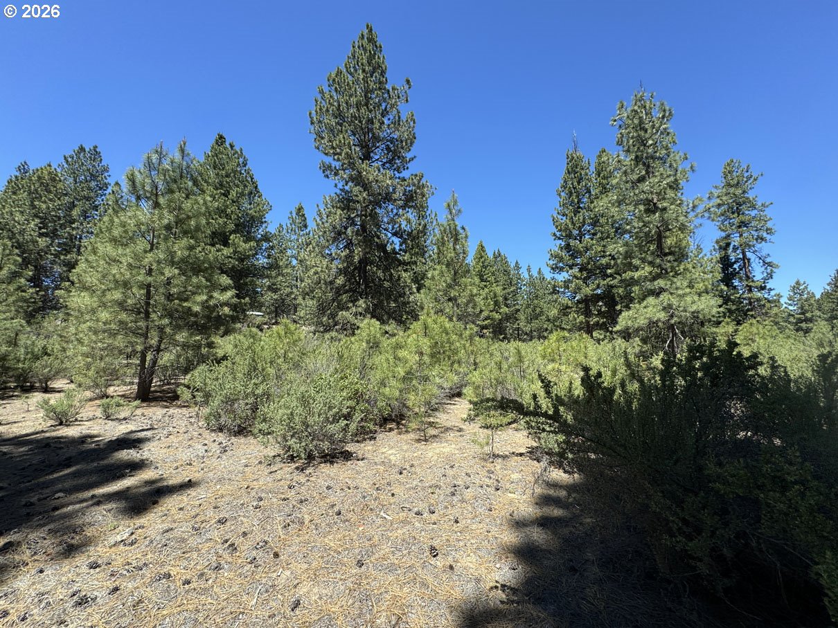 Friendship Drive, Unit 15 Chiloquin, OR 97624 - Photo 20 of 41