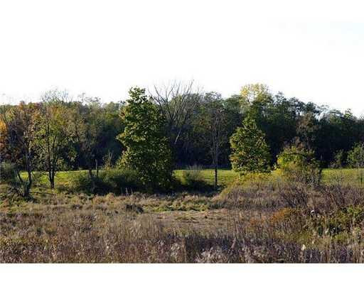 6700 Hashley Road Manchester, MI 48158 - Photo 4 of 10 Photo 4