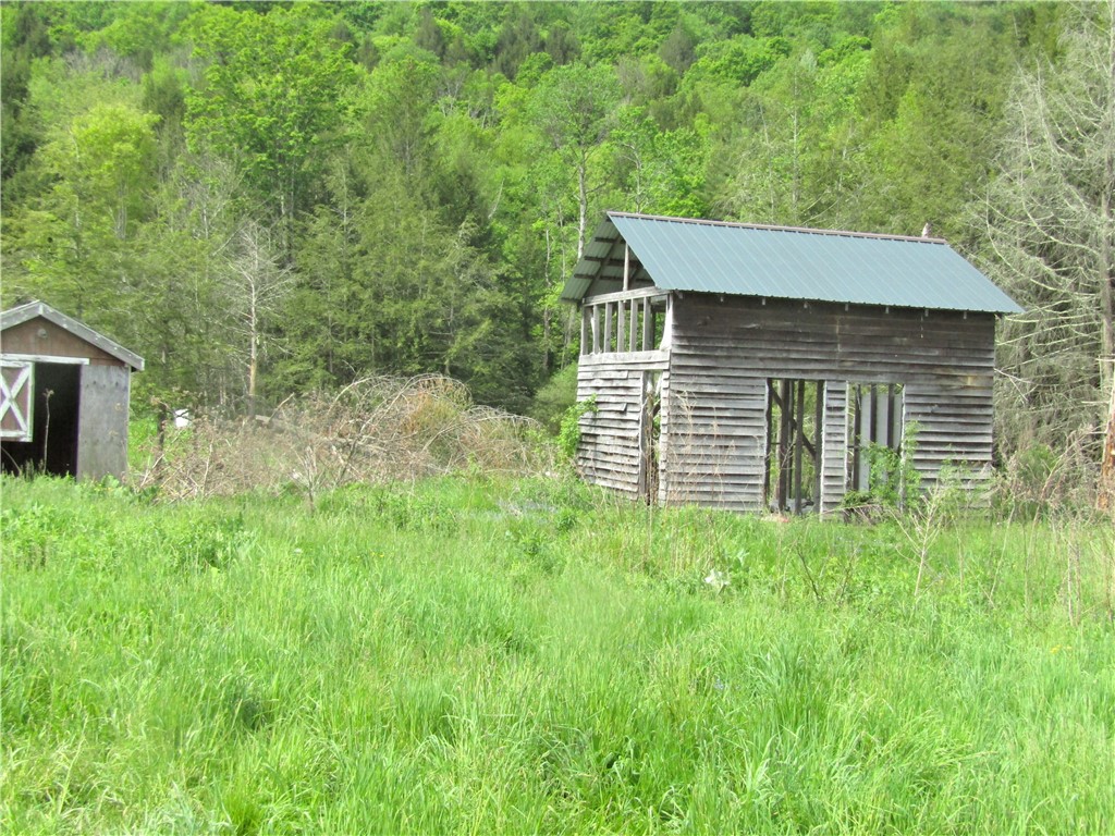 539 State Route Endicott, NY 13760 - Photo 26 of 38 storage shed with steel roof