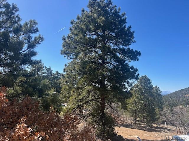 98 Discovery Road Westcliffe, CO 81252 - Photo 3 of 7