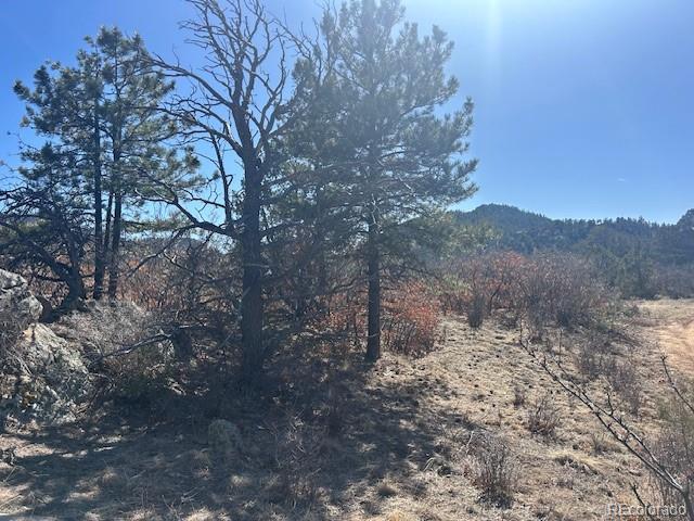 98 Discovery Road Westcliffe, CO 81252 - Photo 4 of 7