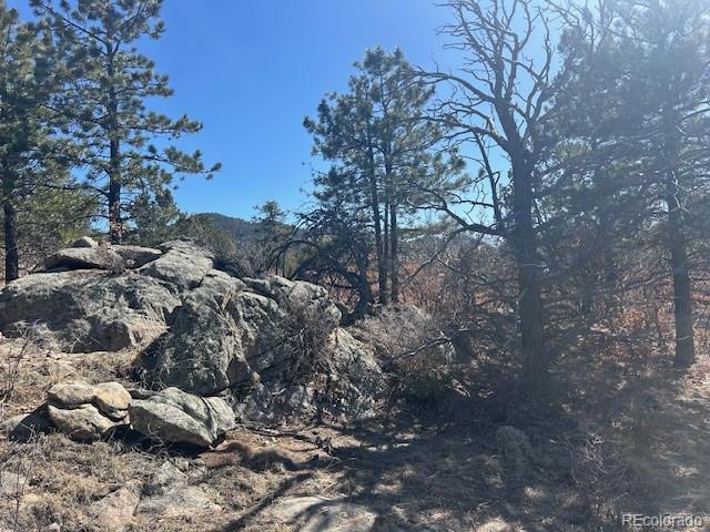 98 Discovery Road Westcliffe, CO 81252 - Photo 5 of 7